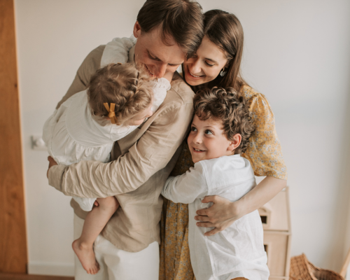 Direito de família com foco na proteção e organização do patrimônio familiar